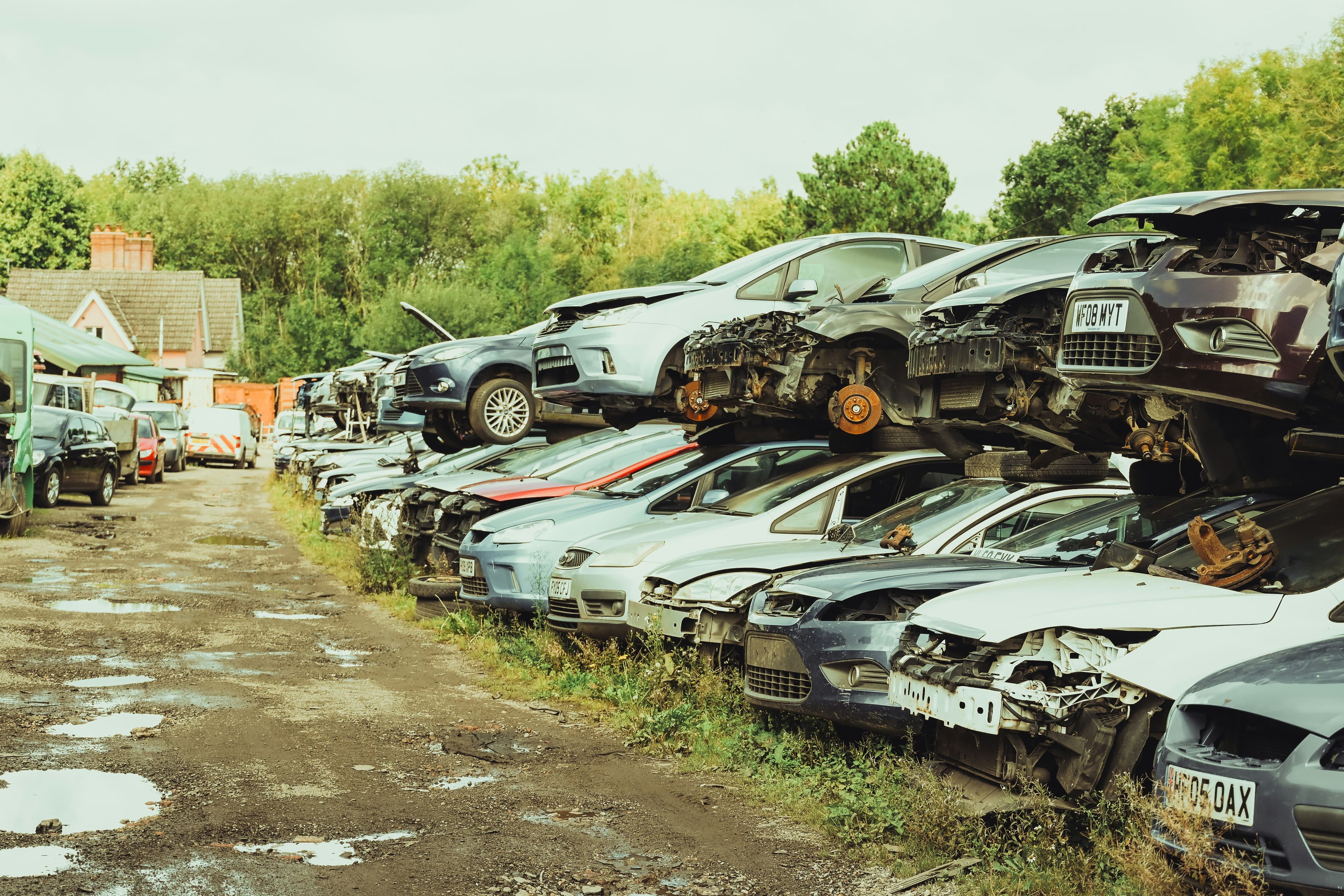 Cars in forest